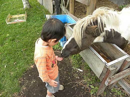 DSCN5830.jpg