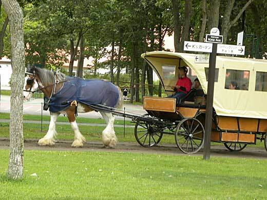 DSCN5834.jpg