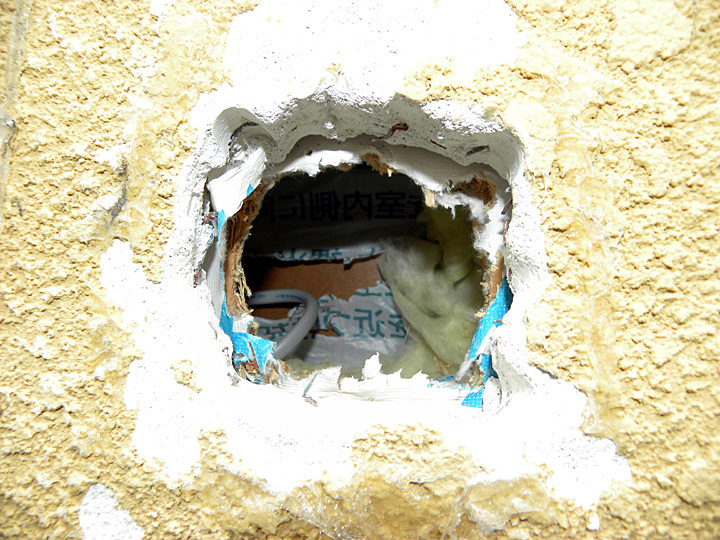 DSCN6306.jpg