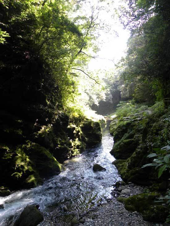 DSCN6541.jpg