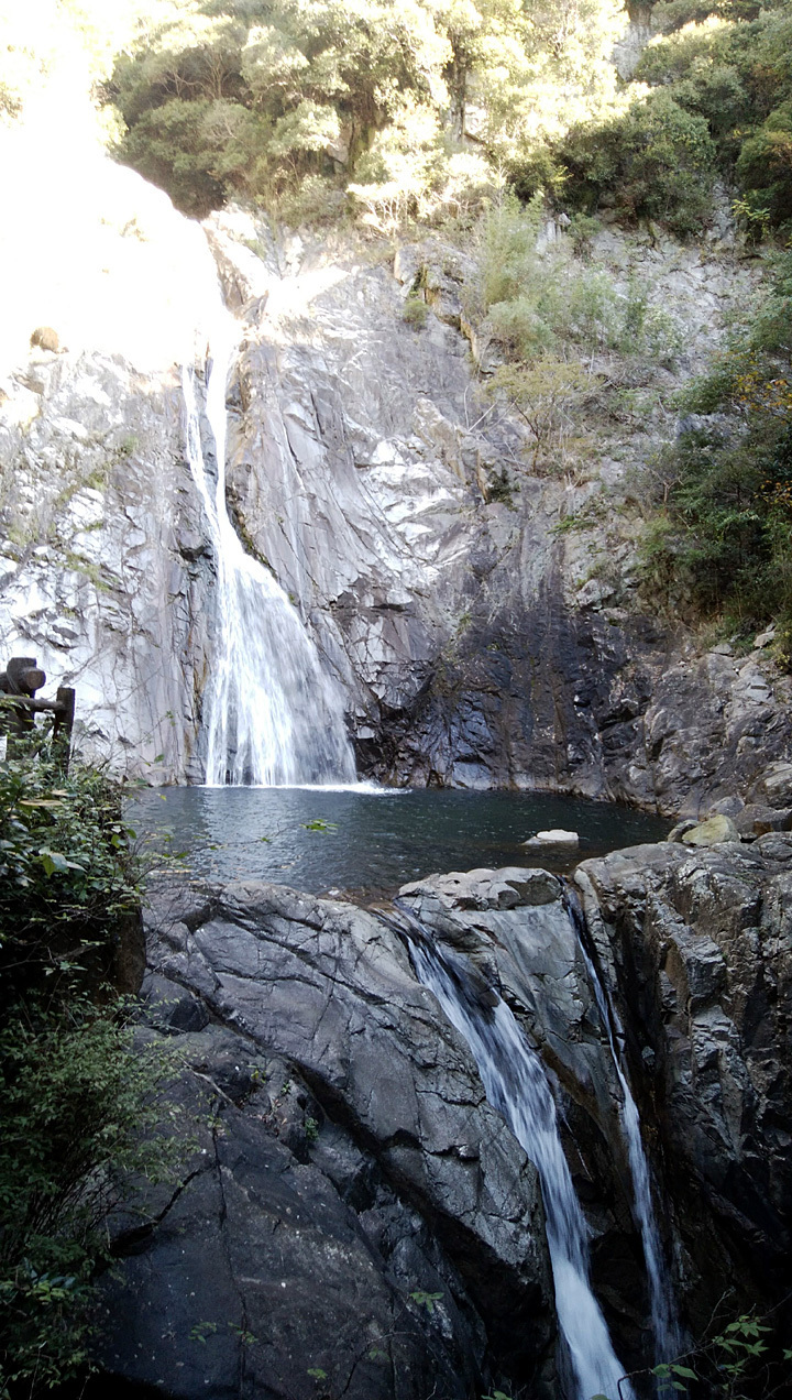 DSC_0539.jpg