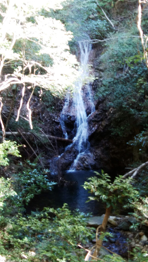DSC_0553.jpg