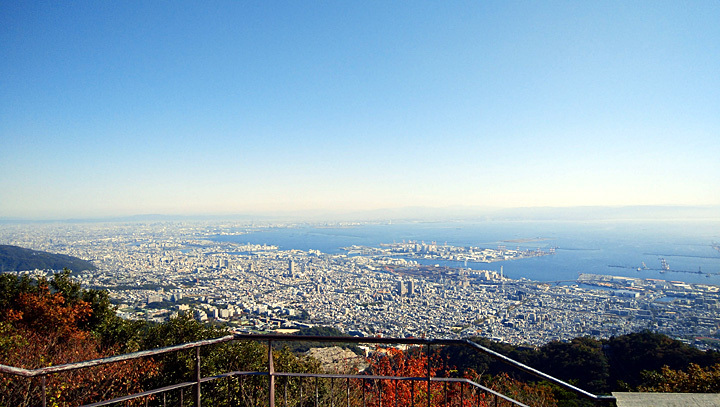 DSC_0562.jpg