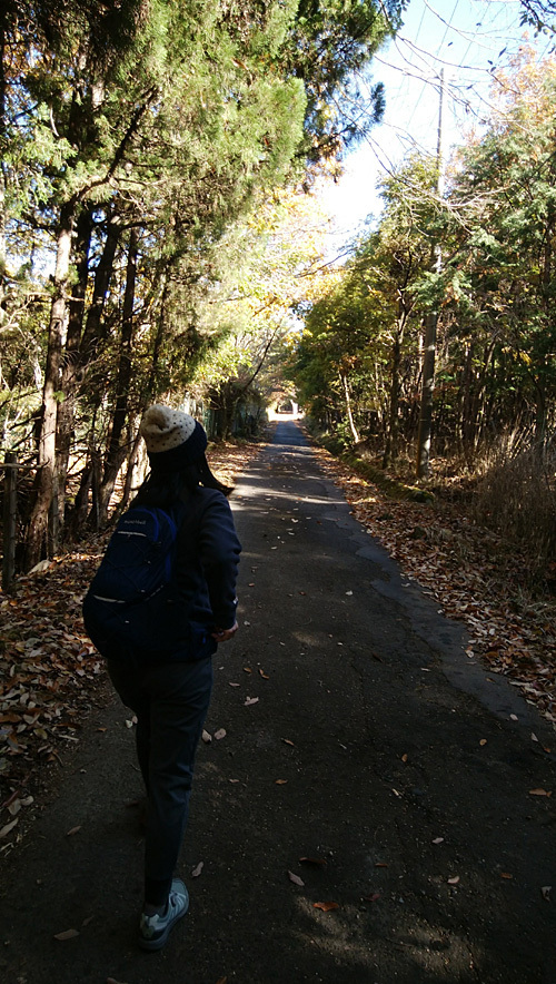 DSC_0580.jpg