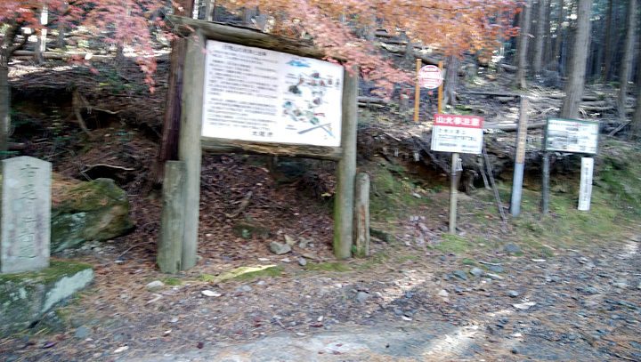 DSC_0581.jpg