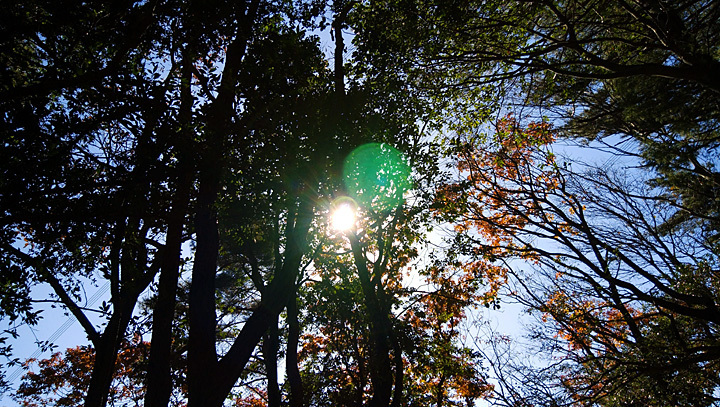 DSC_0595.jpg