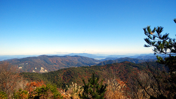 DSC_0602.jpg
