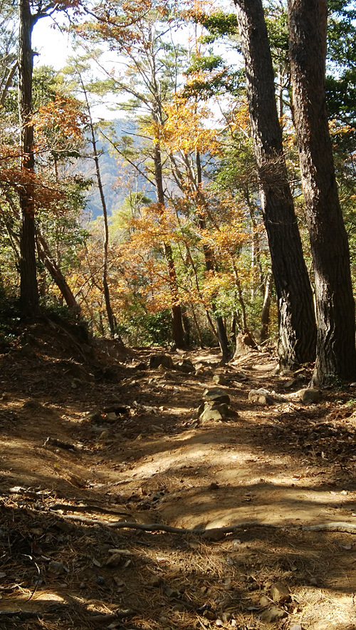 DSC_0608.jpg