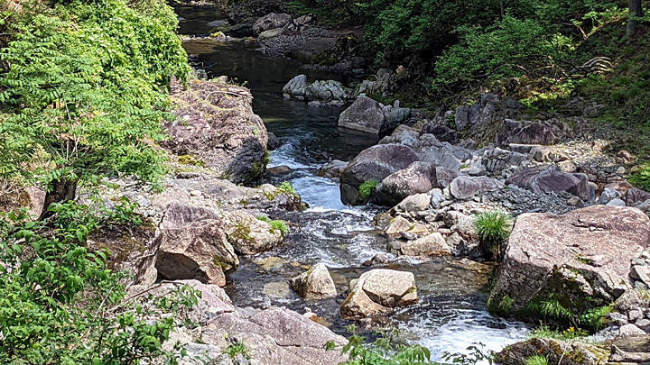 PXL_20220522_012237566.jpg