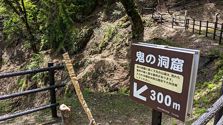 PXL_20230504_022215850.jpg