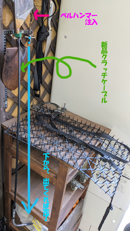 PXL_20230929_022312534.jpg