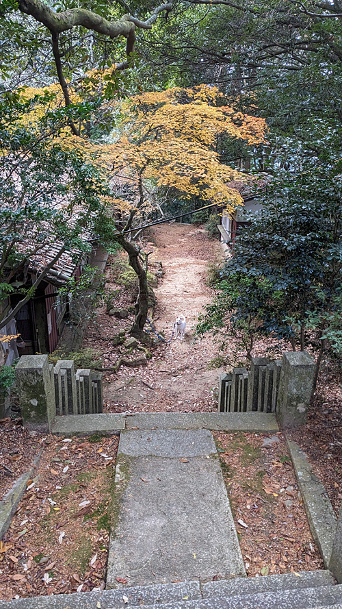 PXL_20231127_020101742.jpg