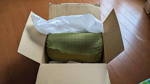 PXL_20240217_234923806.jpg