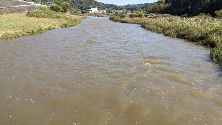 PXL_20241103_020137042.jpg