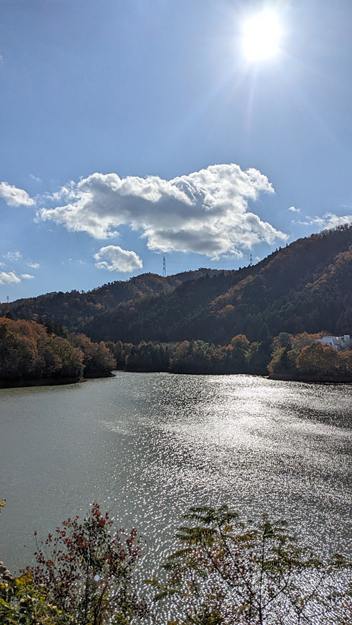 PXL_20241130_030504883.jpg